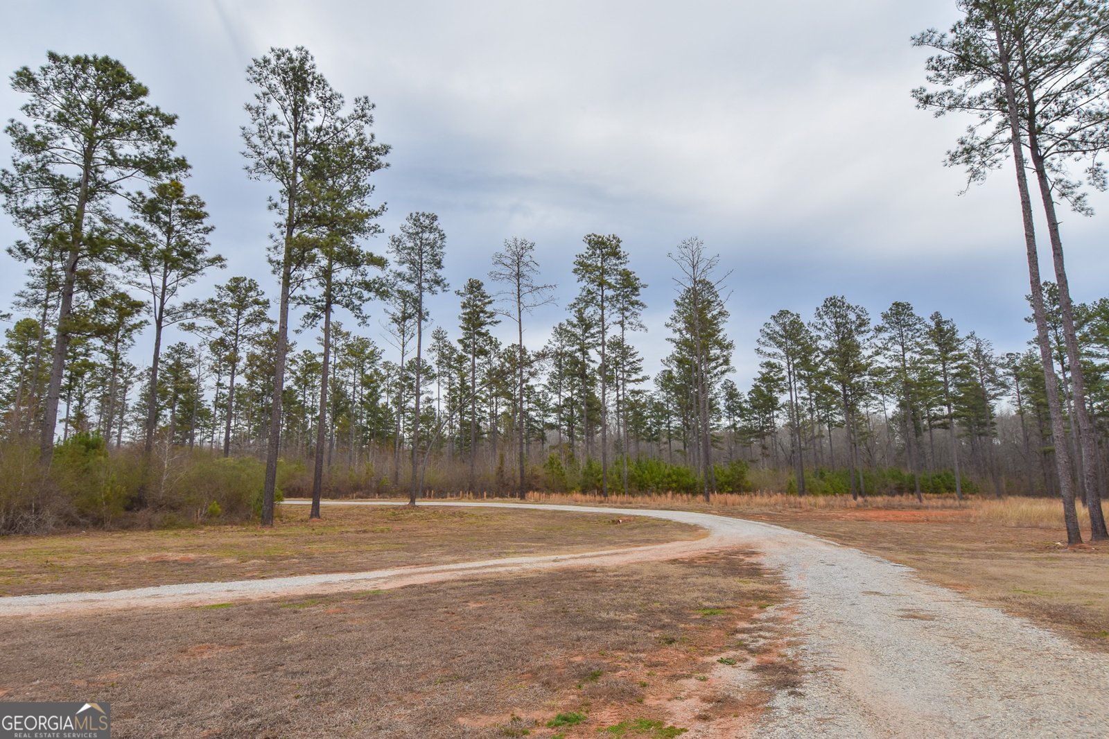 580 I B Howard Road Williamson - Photo 59