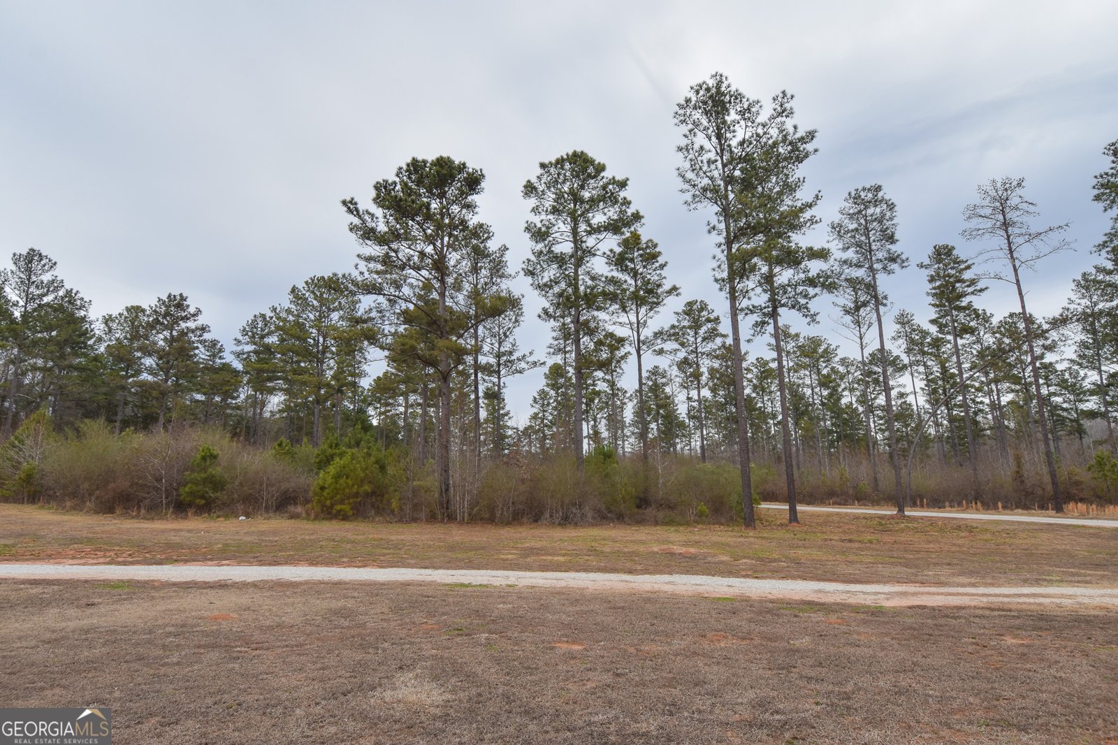 580 I B Howard Road Williamson - Photo 60