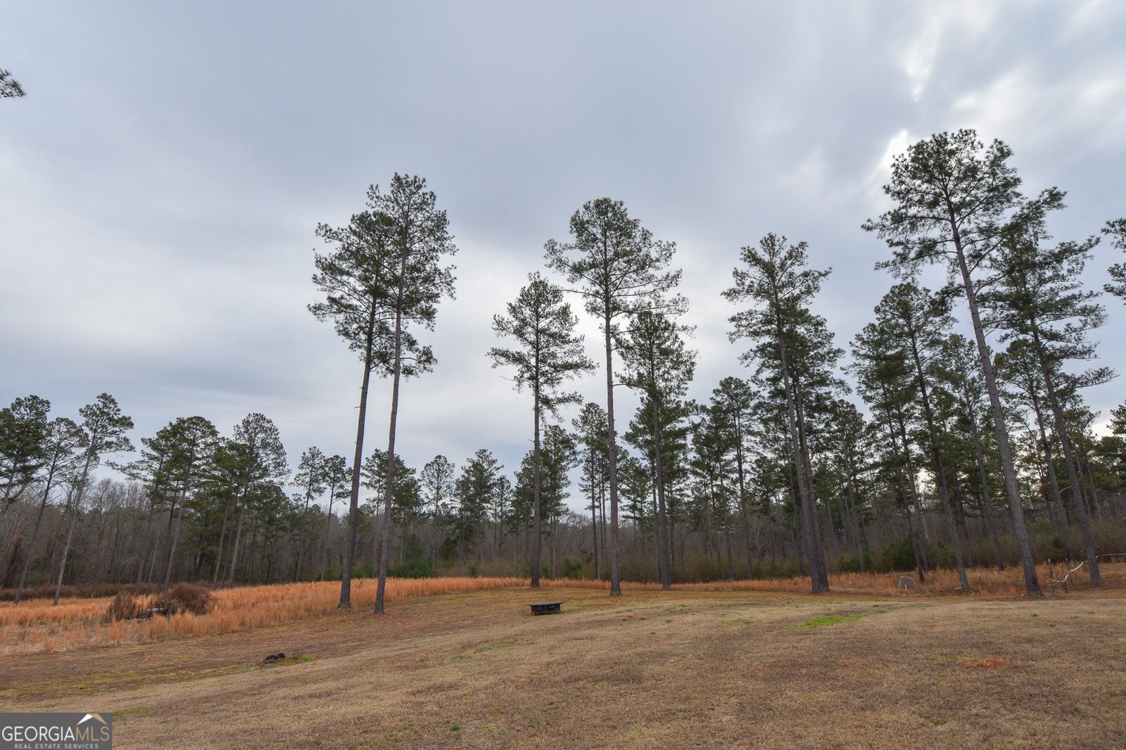 580 I B Howard Road Williamson - Photo 61