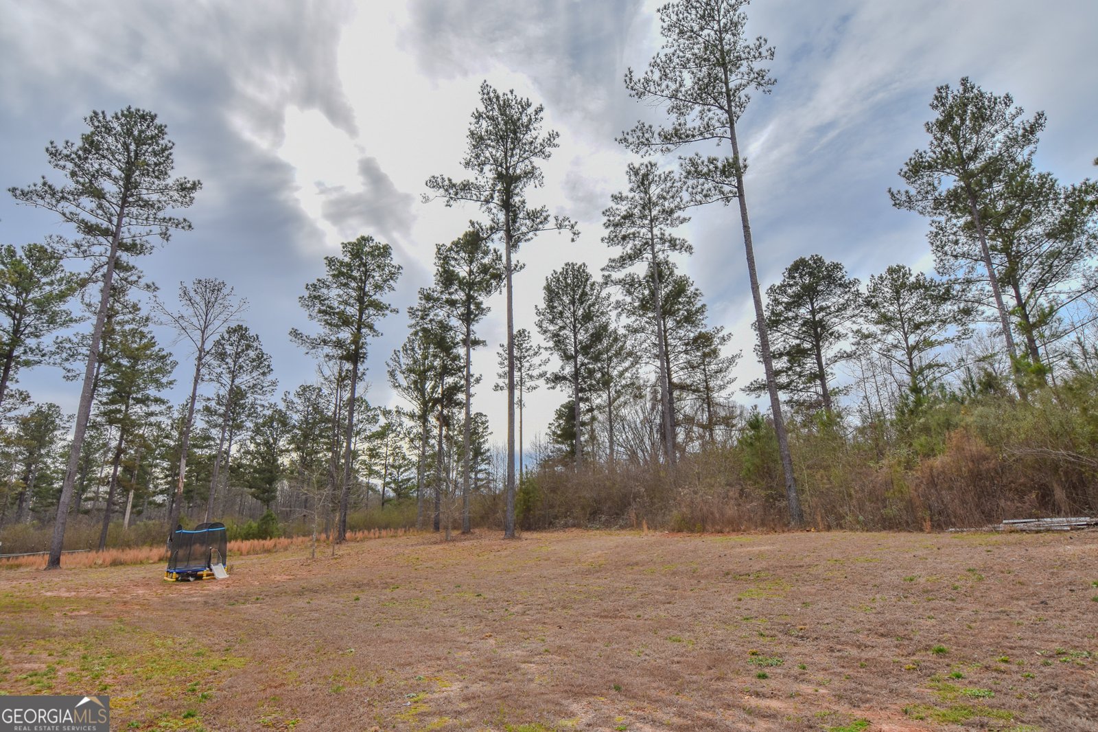 580 I B Howard Road Williamson - Photo 66