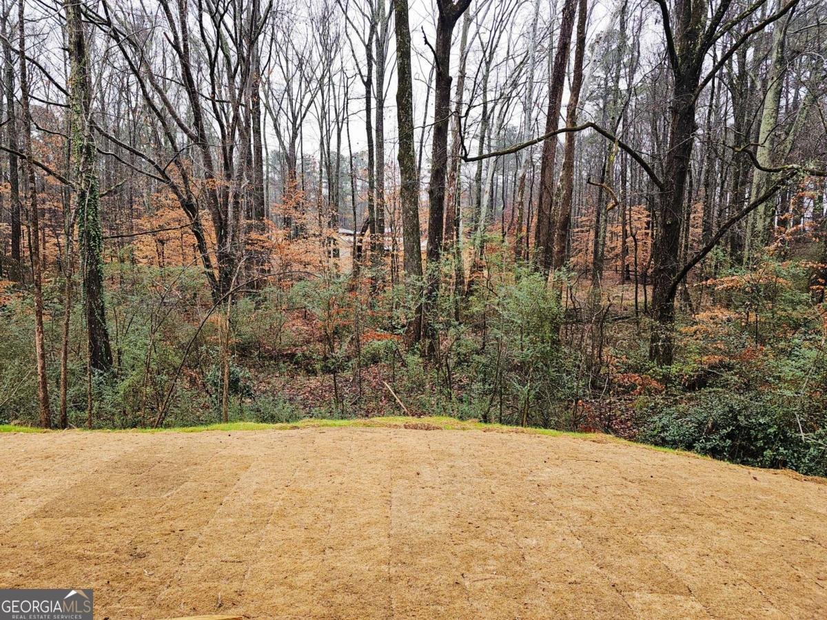 152 Scarlett Place Drive Bowdon - Photo 14