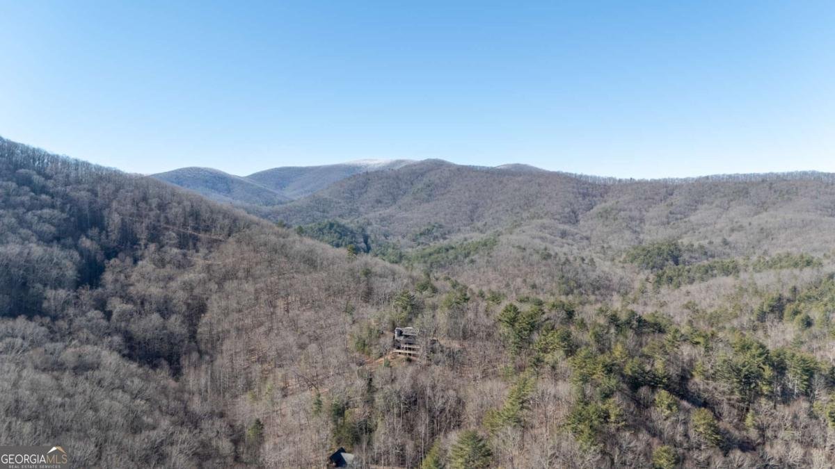 244 Tipton Court Cherry Log - Photo 33