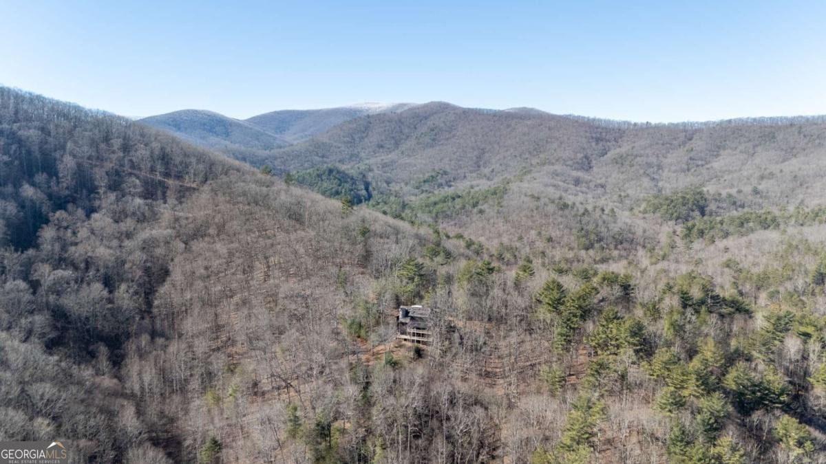 244 Tipton Court Cherry Log - Photo 34