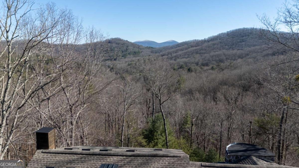 244 Tipton Court Cherry Log - Photo 37