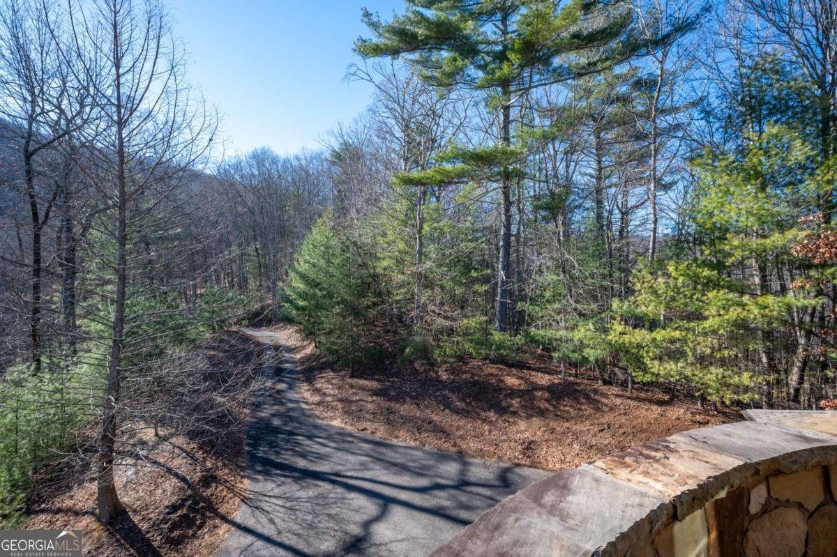 244 Tipton Court Cherry Log - Photo 73