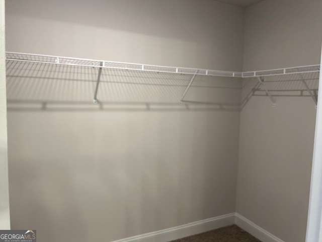 539 Wauka Drive Demorest - Photo 14