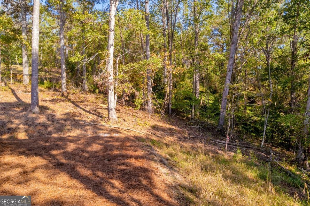 946 Essic Road Ball Ground - Photo 41