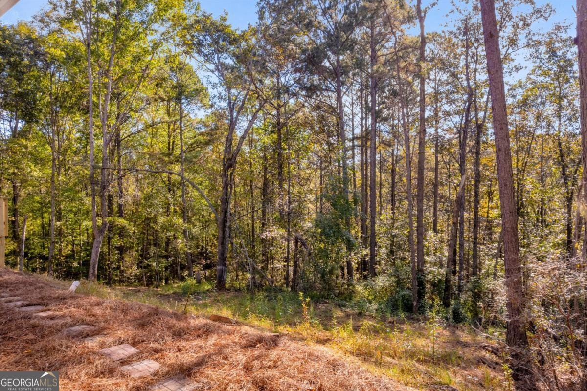 946 Essic Road Ball Ground - Photo 48