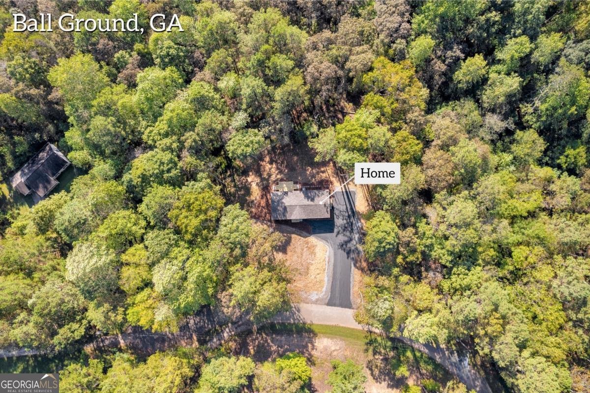 946 Essic Road Ball Ground - Photo 49