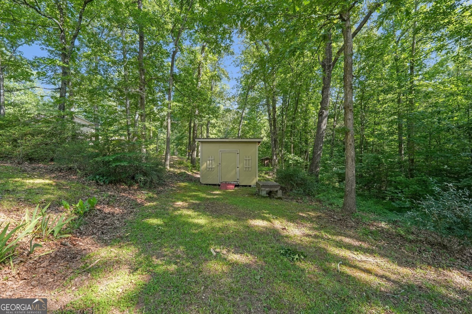 2963 Gordon Road Senoia - Photo 46