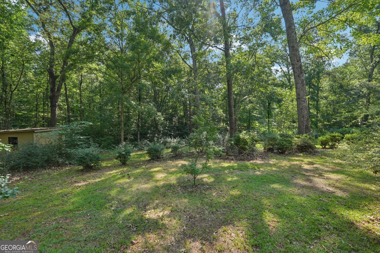2963 Gordon Road Senoia - Photo 47