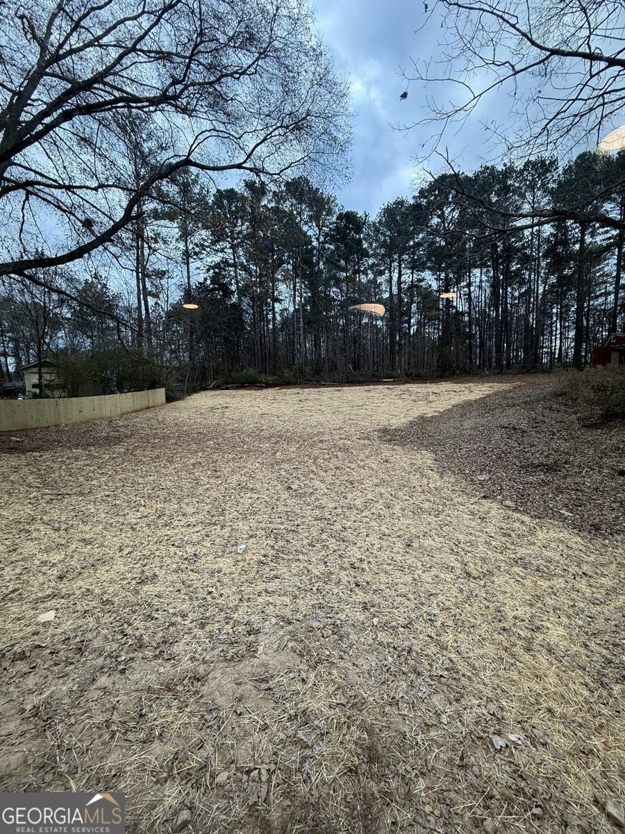 7167 Brown Bridge Road Covington - Photo 23