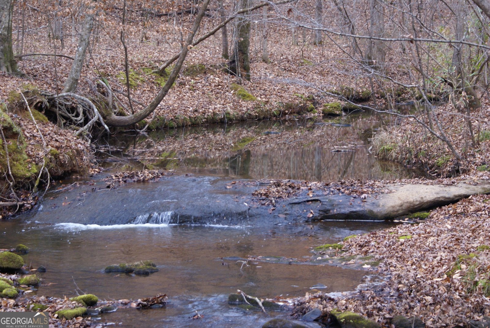 1140 City Pond Road Barnesville - Photo 33