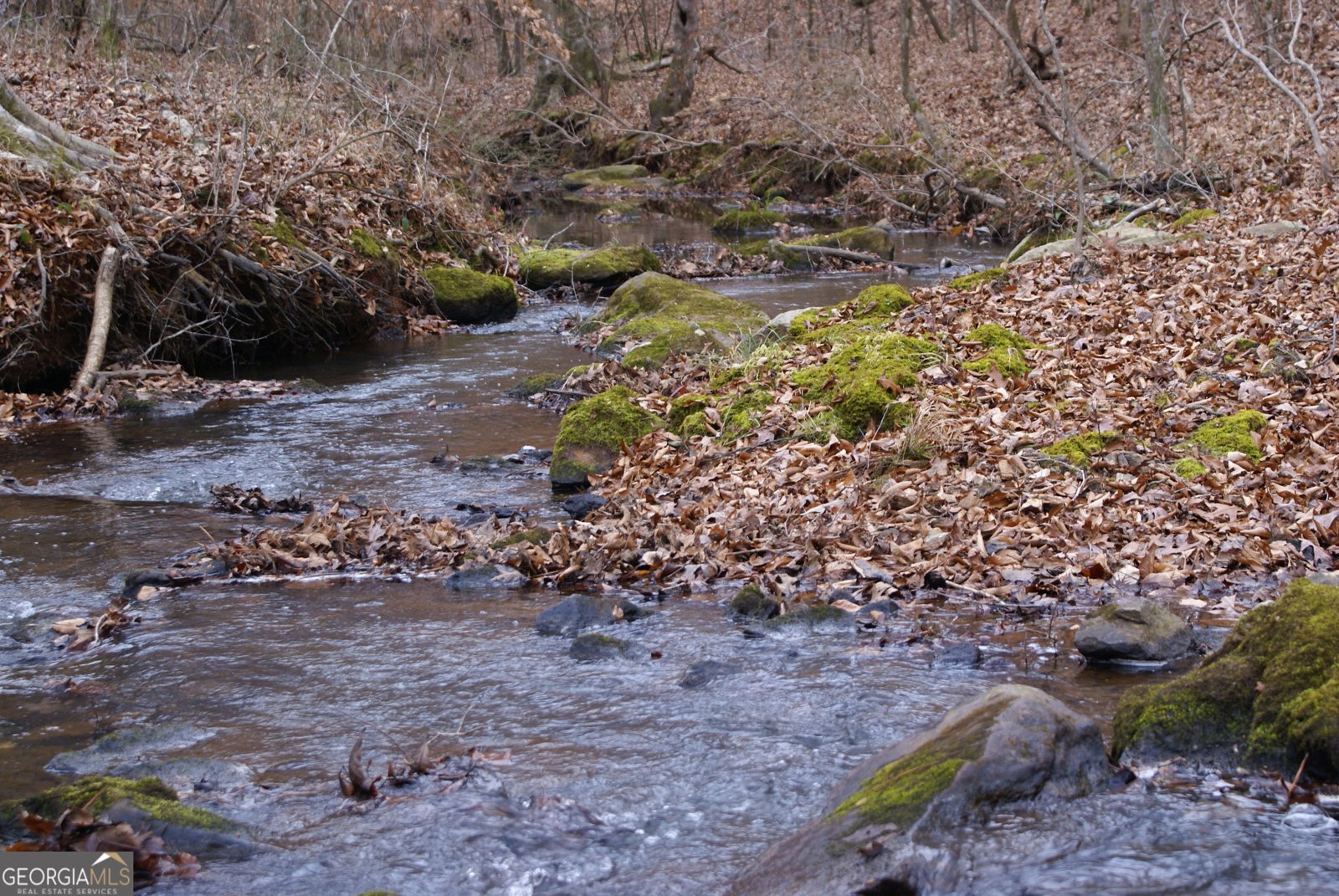 1140 City Pond Road Barnesville - Photo 34