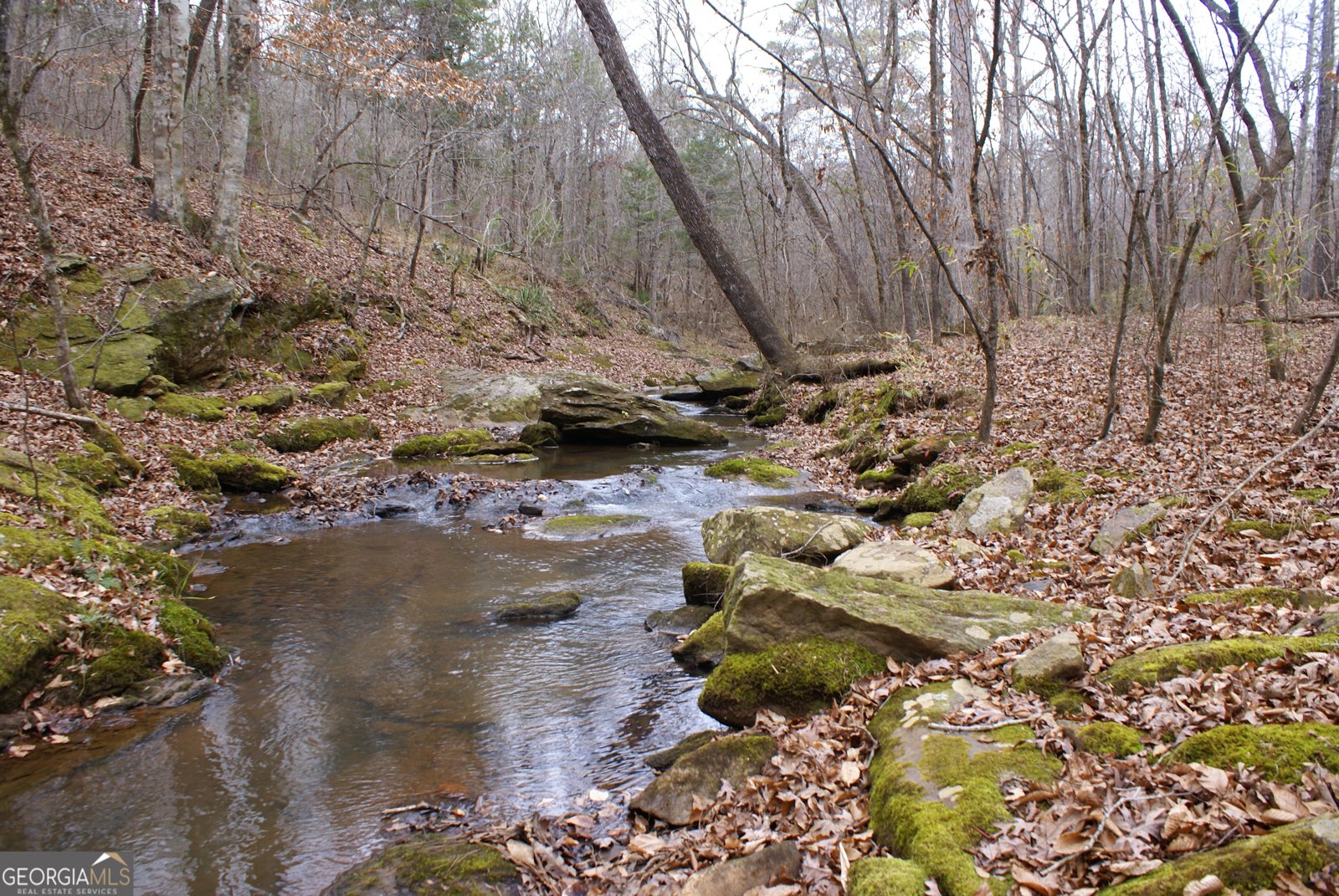 1140 City Pond Road Barnesville - Photo 35