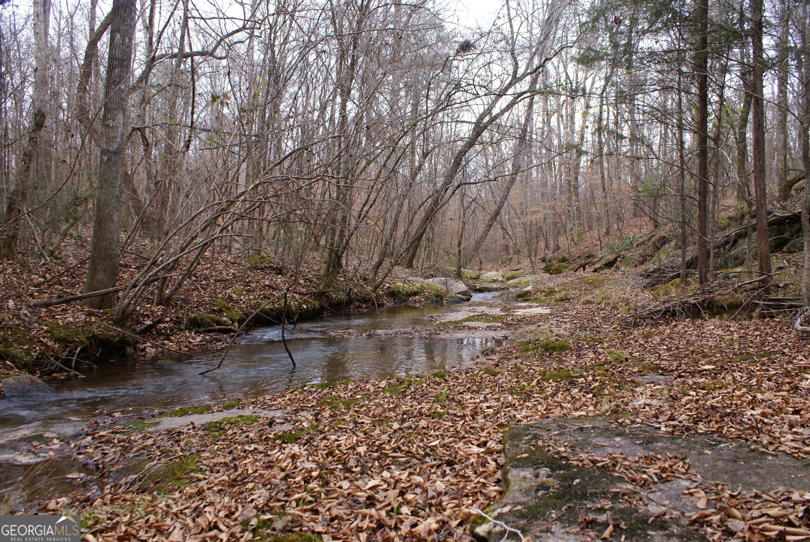 1140 City Pond Road Barnesville - Photo 36