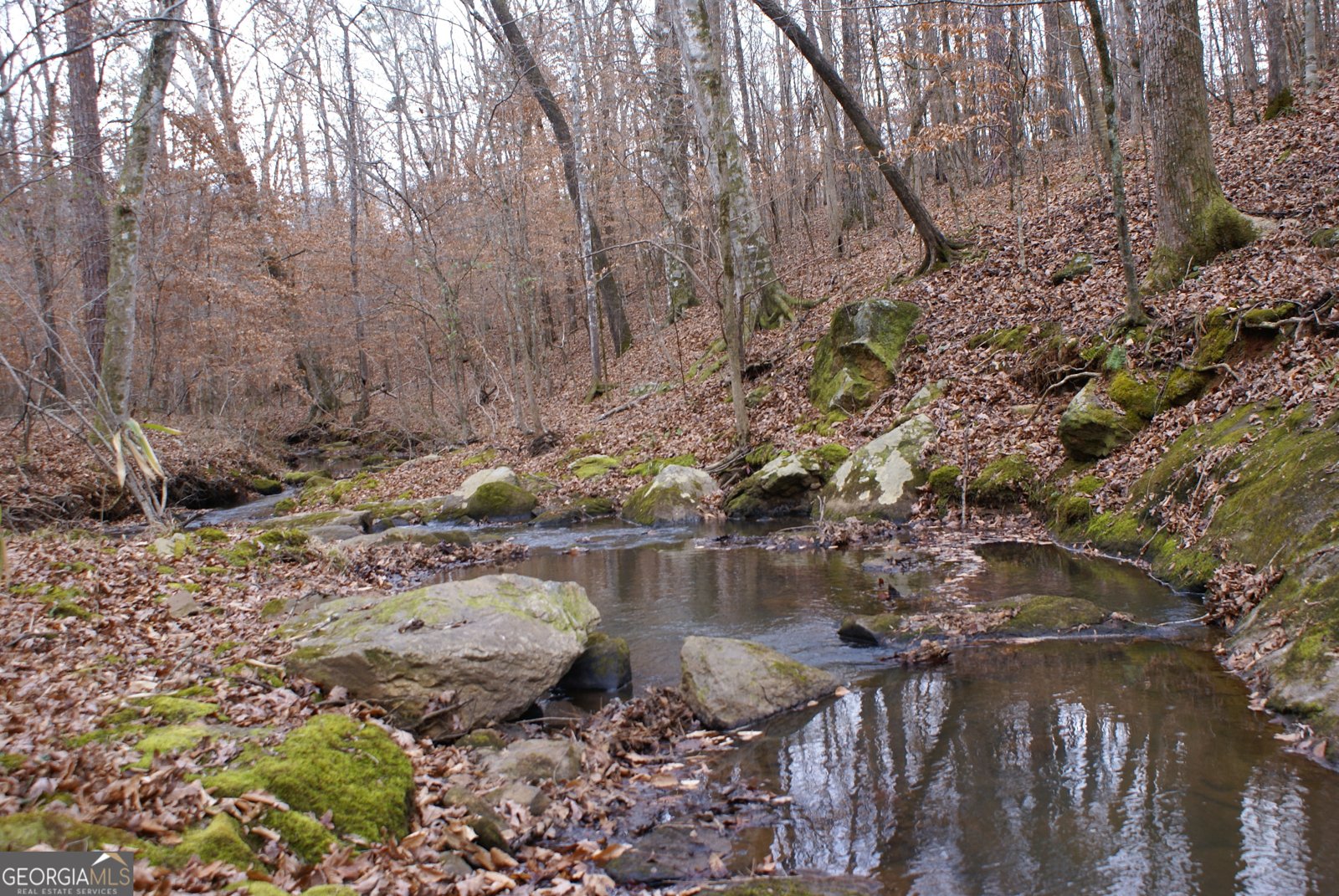 1140 City Pond Road Barnesville - Photo 37