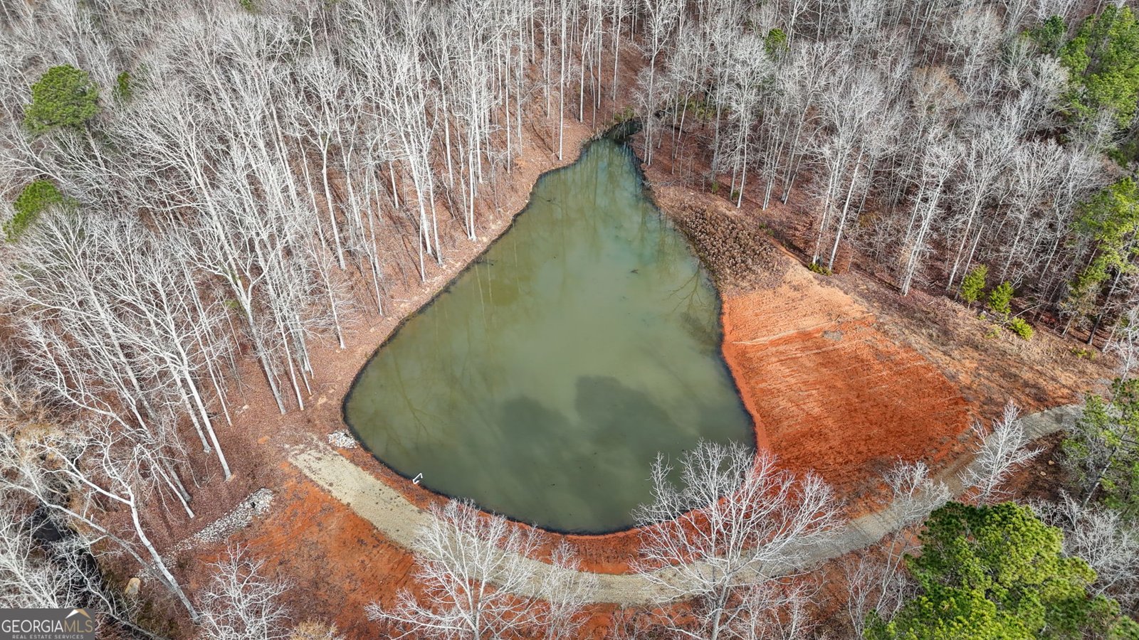 1140 City Pond Road Barnesville - Photo 6