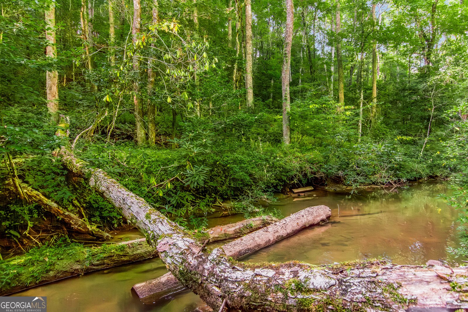 416 Mill Stone Mountain Lane Blue Ridge - Photo 36