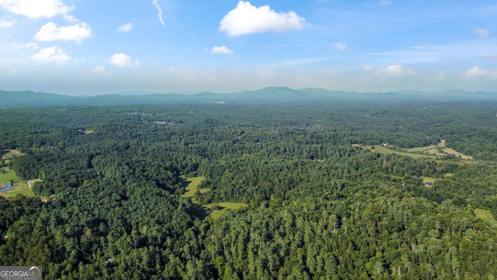 416 Mill Stone Mountain Lane Blue Ridge - Photo 43