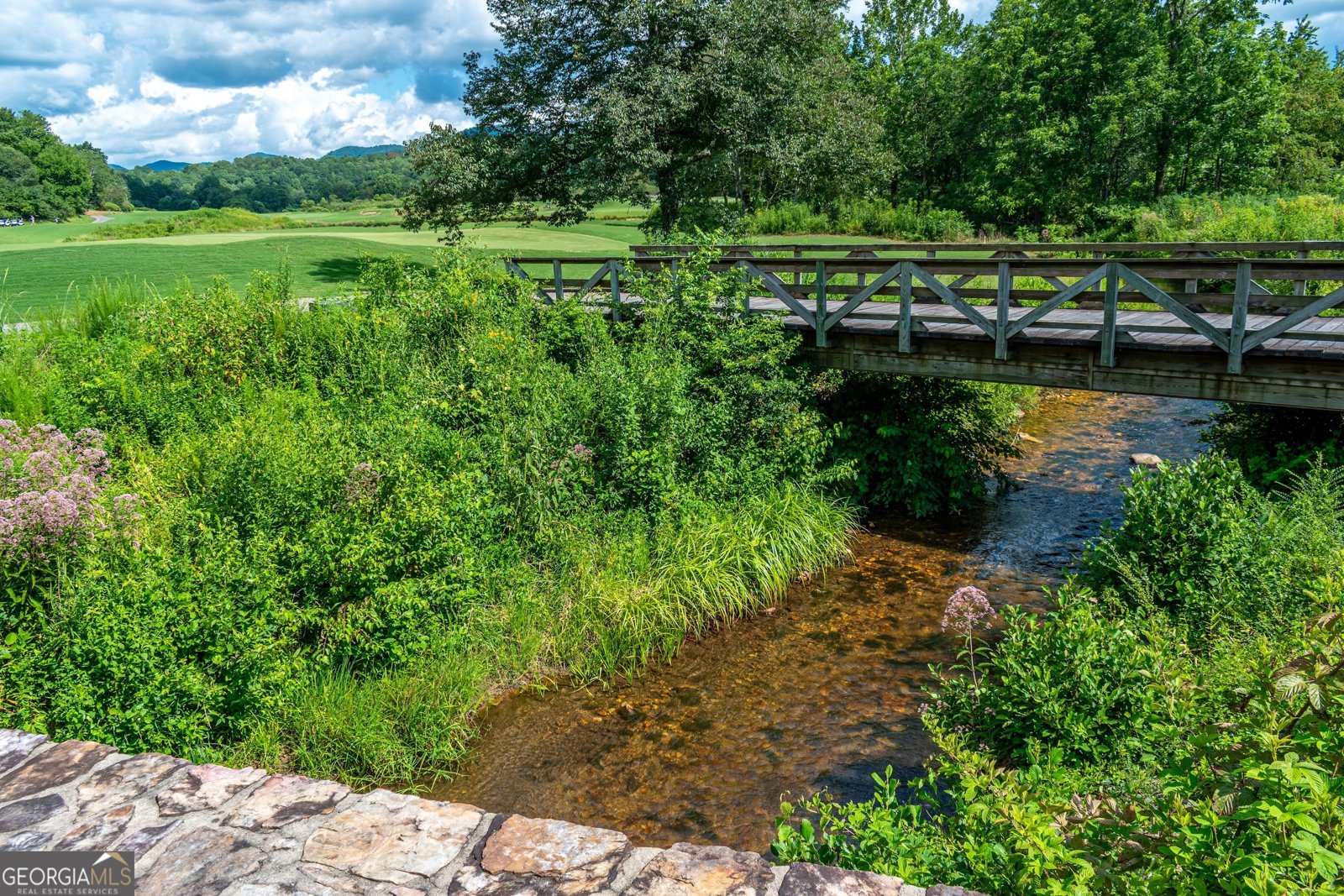 1250 Owen Glen Drive Blairsville - Photo 110