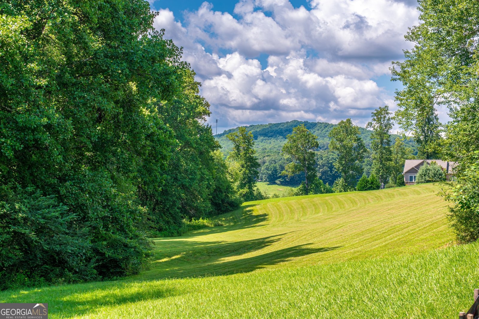 1250 Owen Glen Drive Blairsville - Photo 14