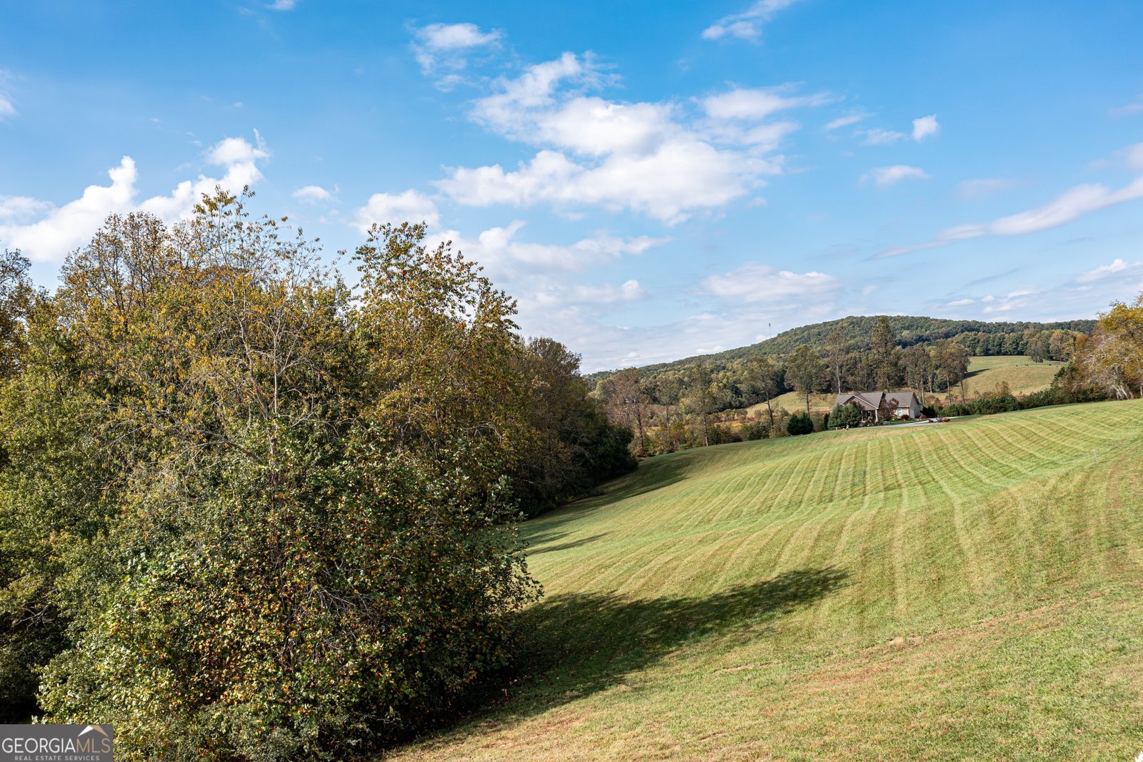 1250 Owen Glen Drive Blairsville - Photo 98