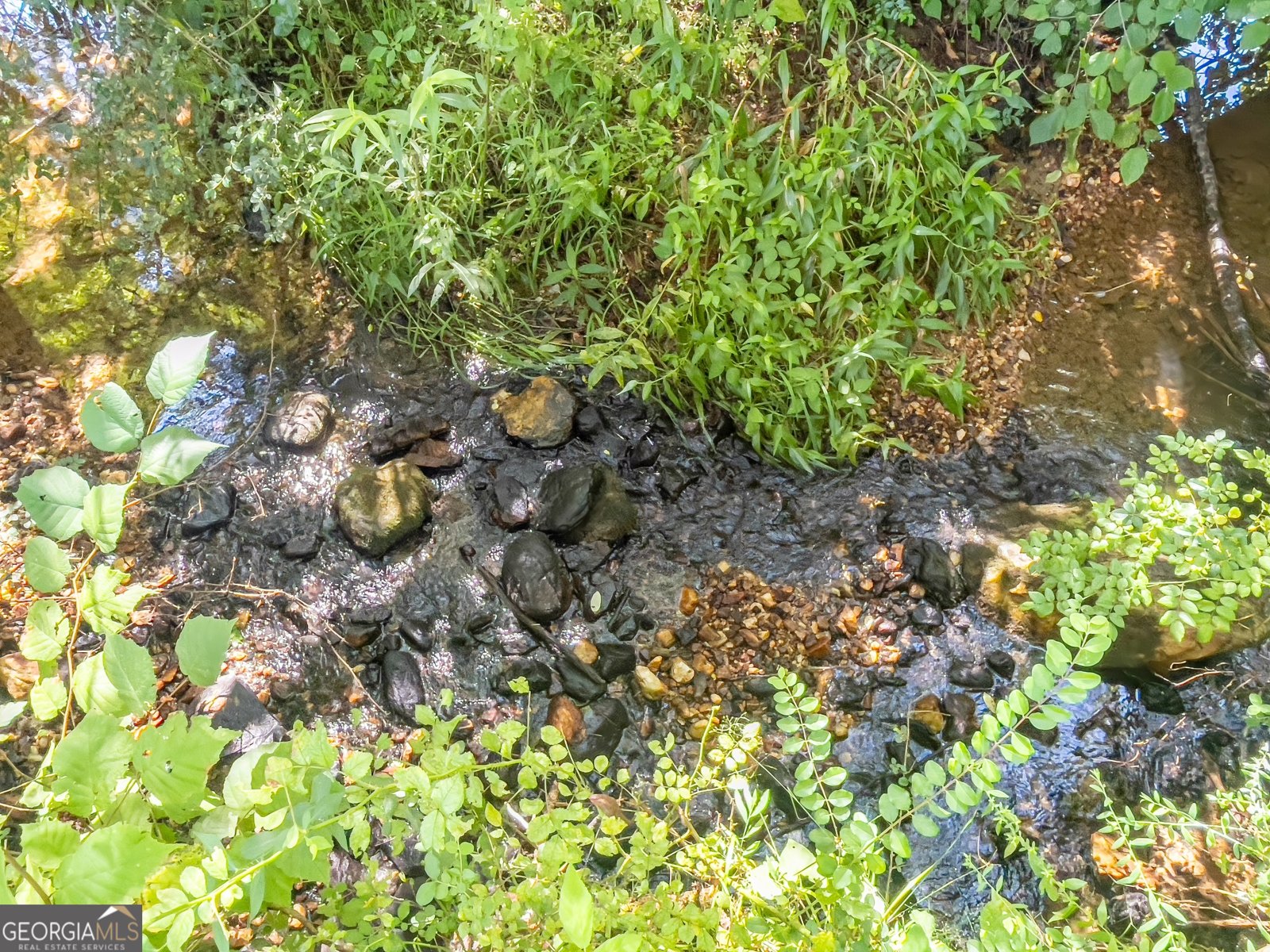 1250 Owen Glen Drive Blairsville - Photo 99