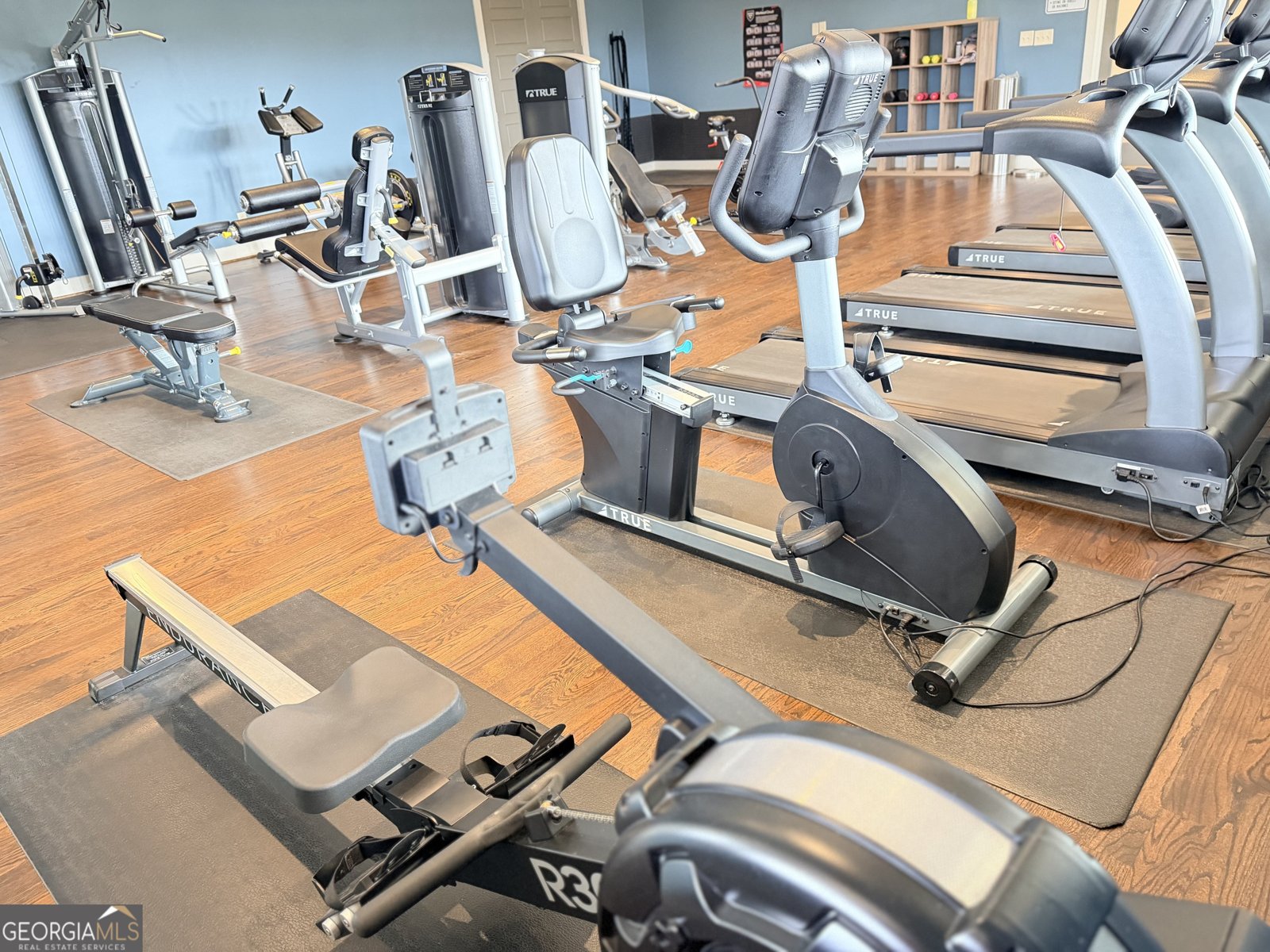 2680 Canter Meadow Drive Cumming - Photo 68