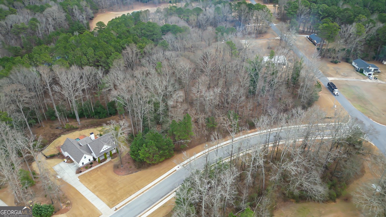 105 Laurel Forest Drive Tyrone - Photo 9