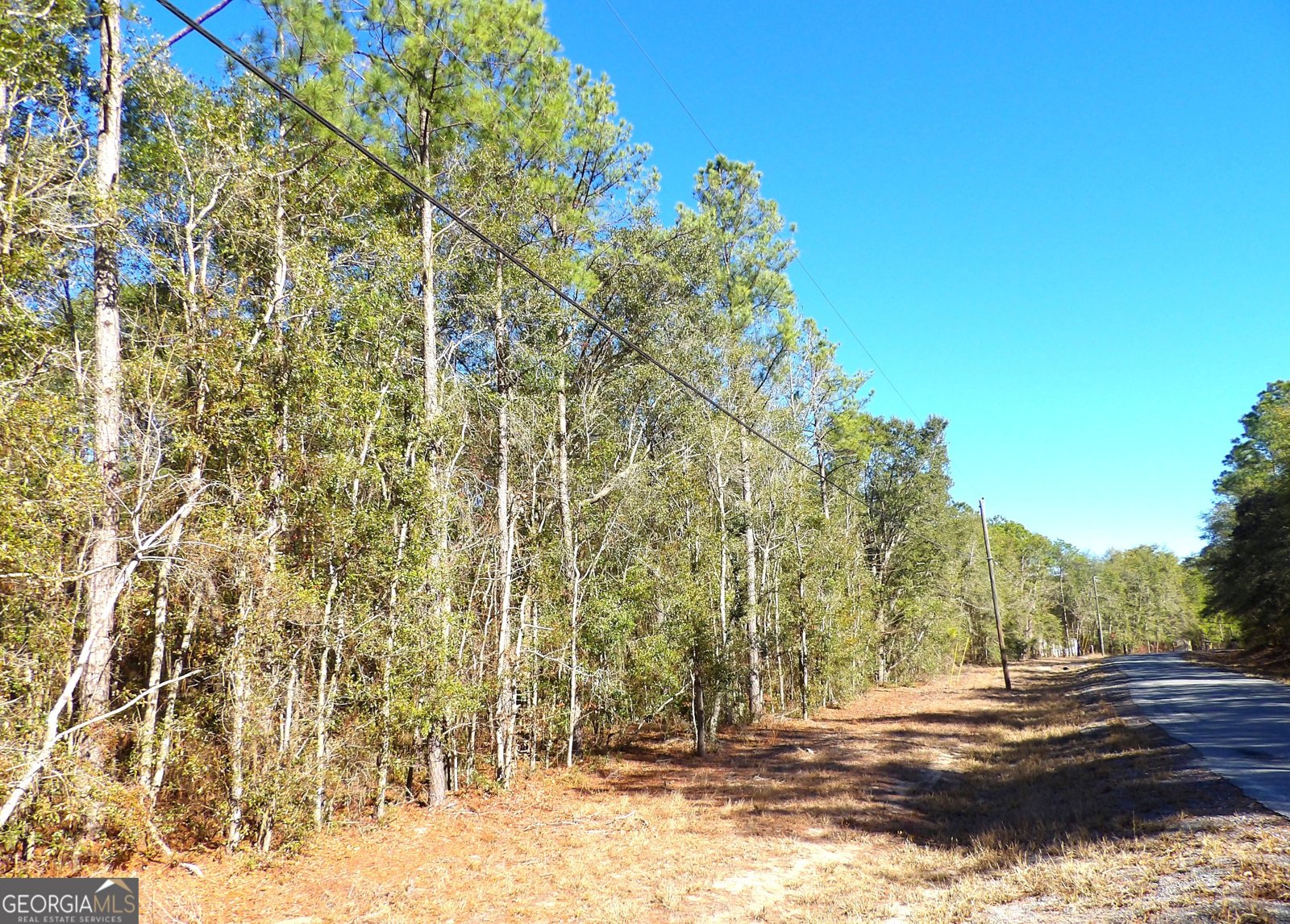 124 Cherokee Drive Guyton - Photo 6