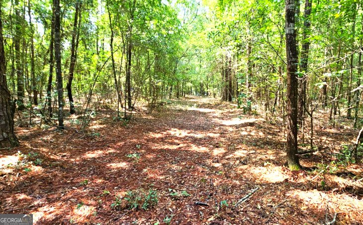 124 Cherokee Drive Guyton - Photo 7