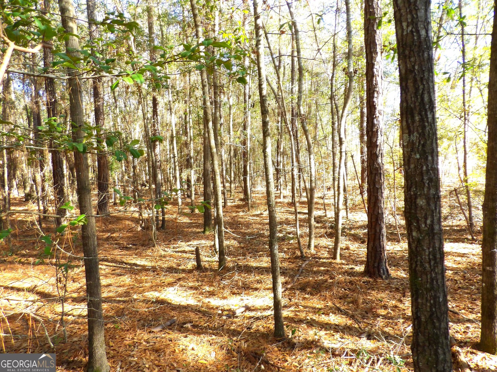 124 Cherokee Drive Guyton - Photo 8