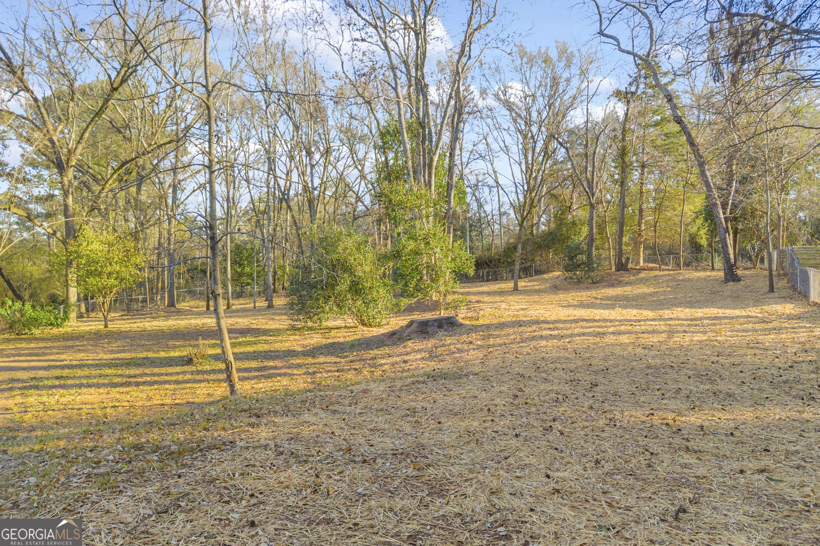 125 Richard Way Athens - Photo 58