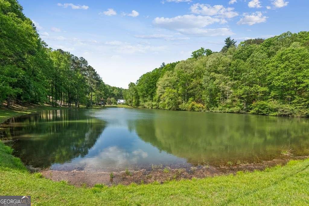 245 Timberwalk Drive Ellijay - Photo 49