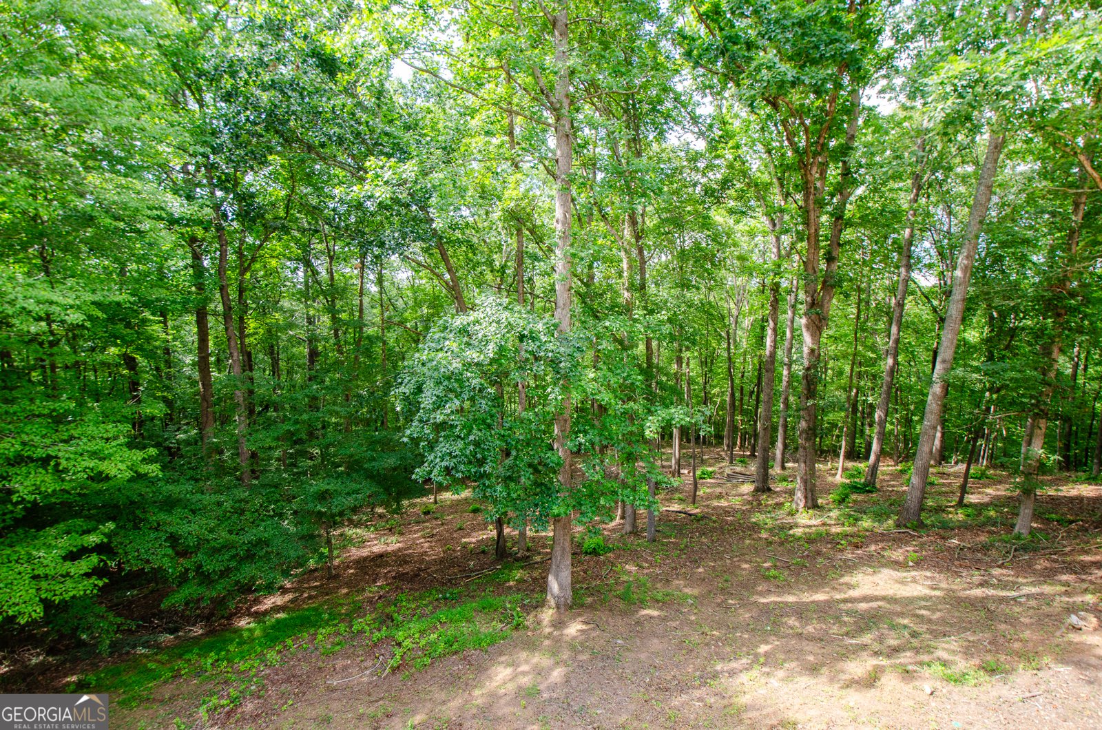 785 Swan Lane Canton - Photo 34