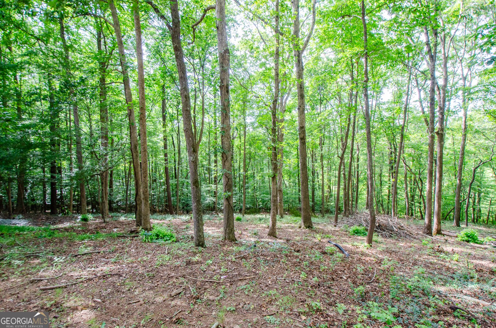 785 Swan Lane Canton - Photo 36