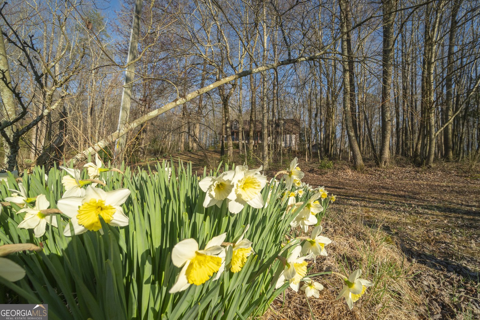 96 Joyce Drive Cleveland - Photo 23