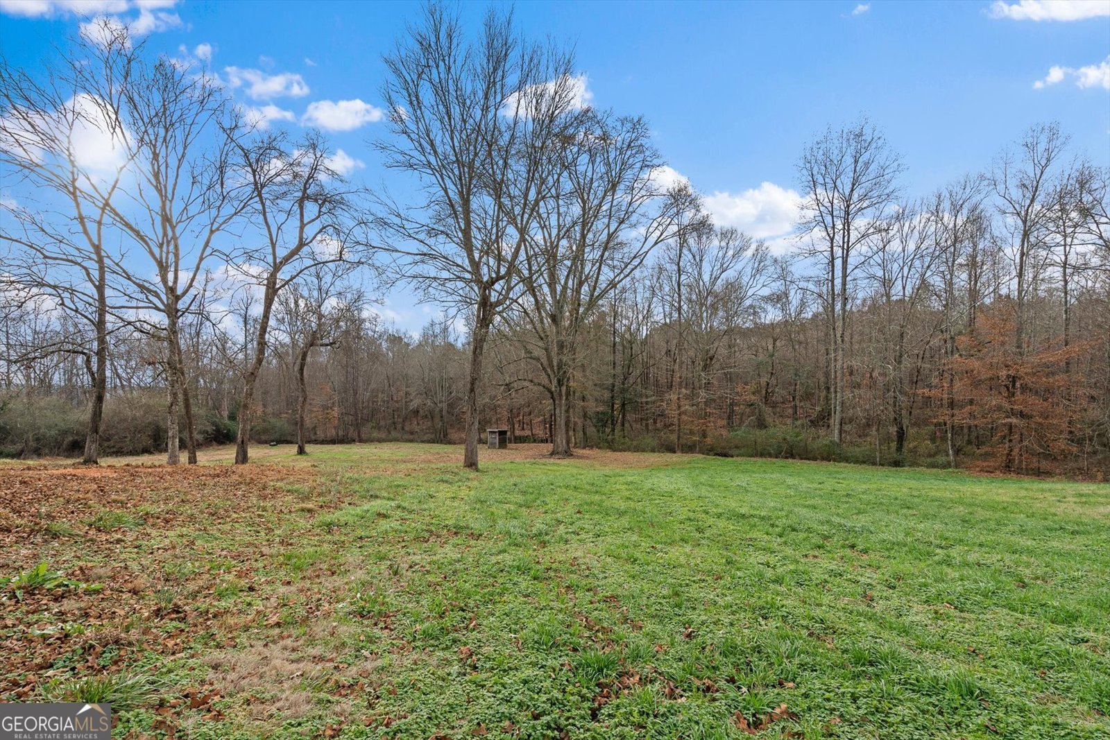 976 Salem Church Road Carrollton - Photo 50