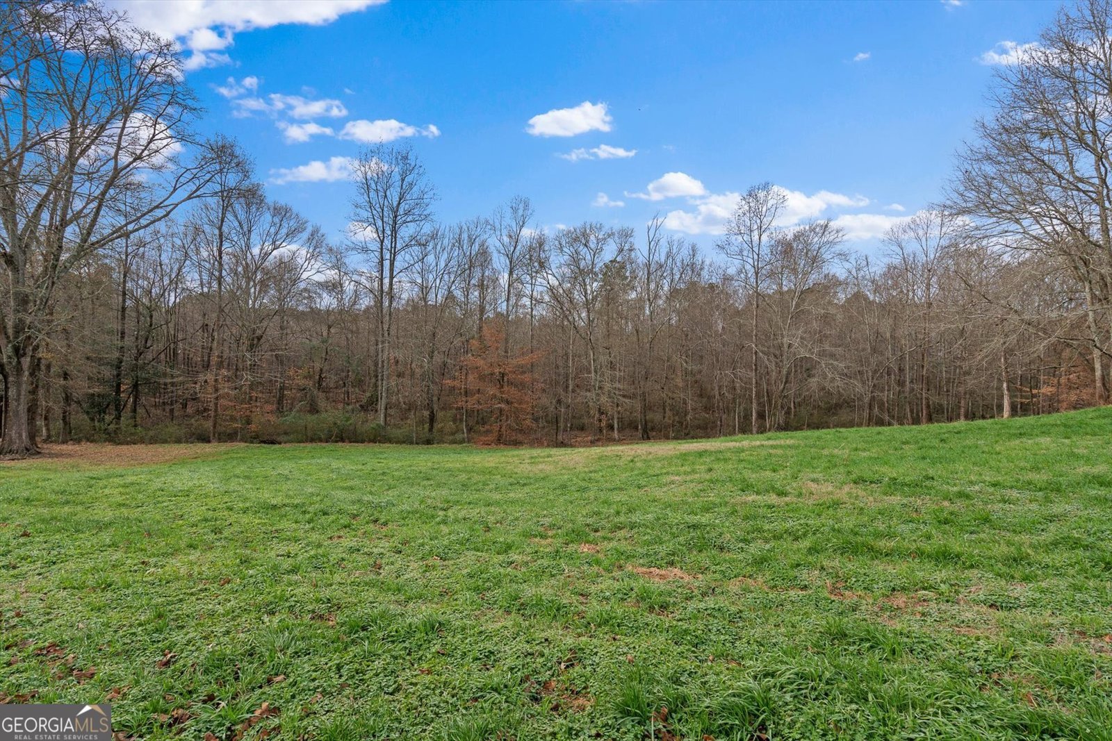 976 Salem Church Road Carrollton - Photo 51