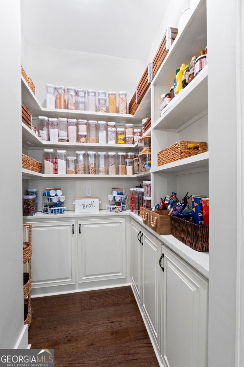 173 Dolly Nixon Road Senoia - Photo 43