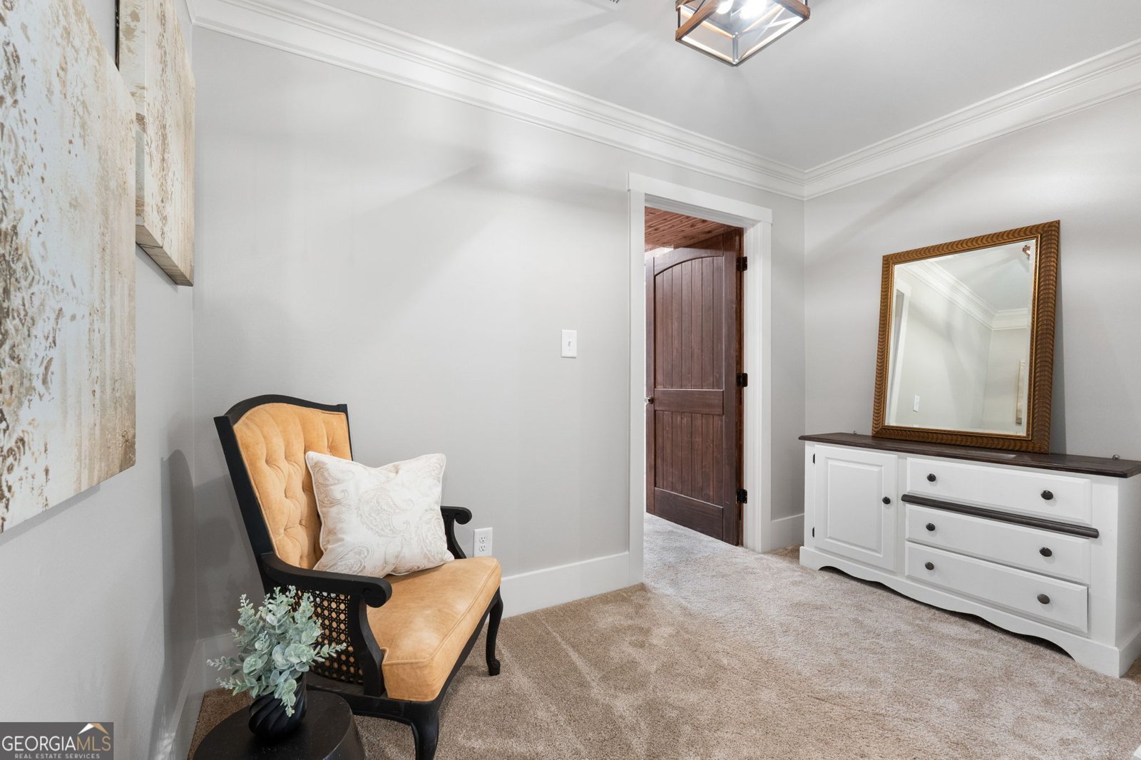 173 Dolly Nixon Road Senoia - Photo 71