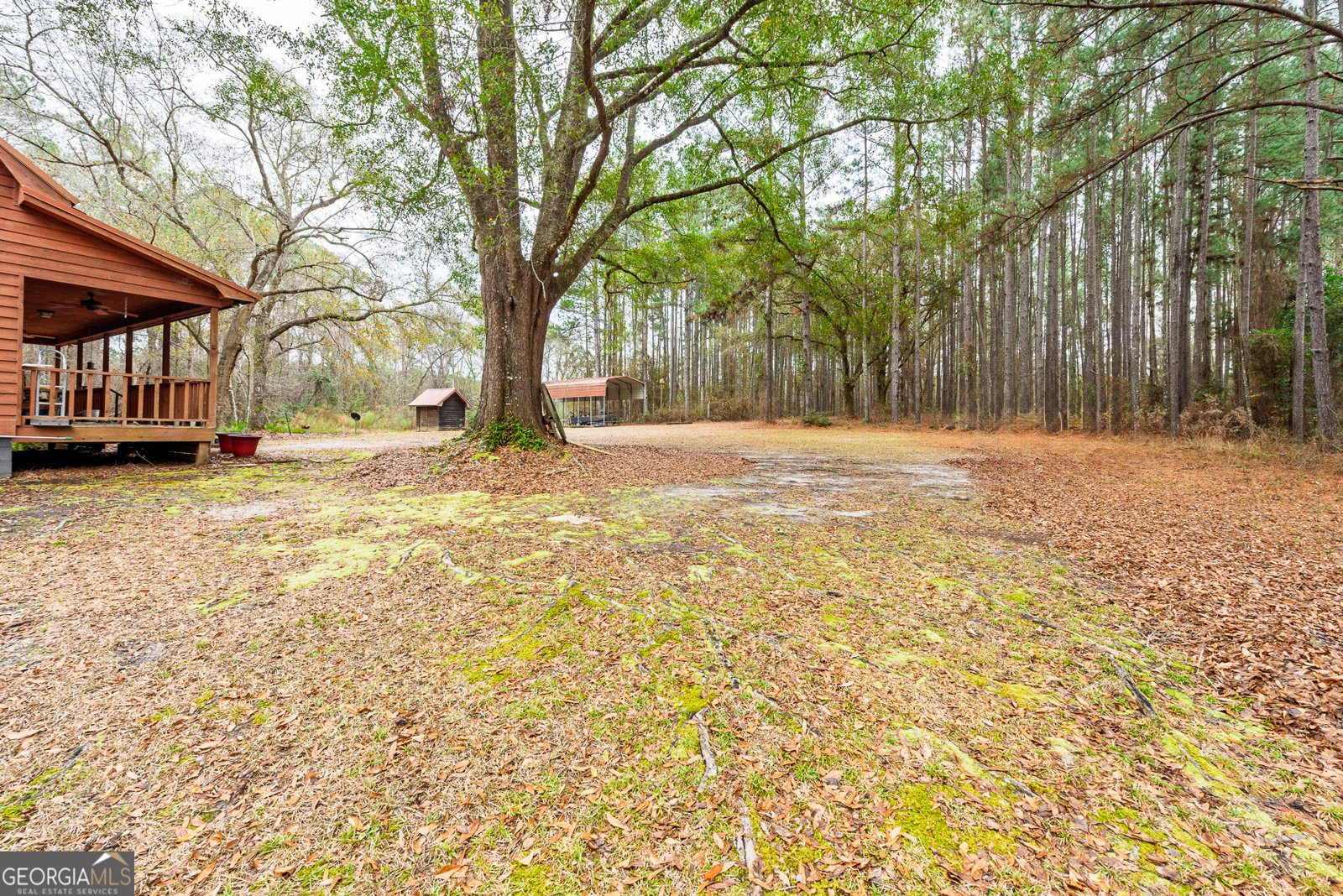 1670 Beaver Dam Road Odum - Photo 16