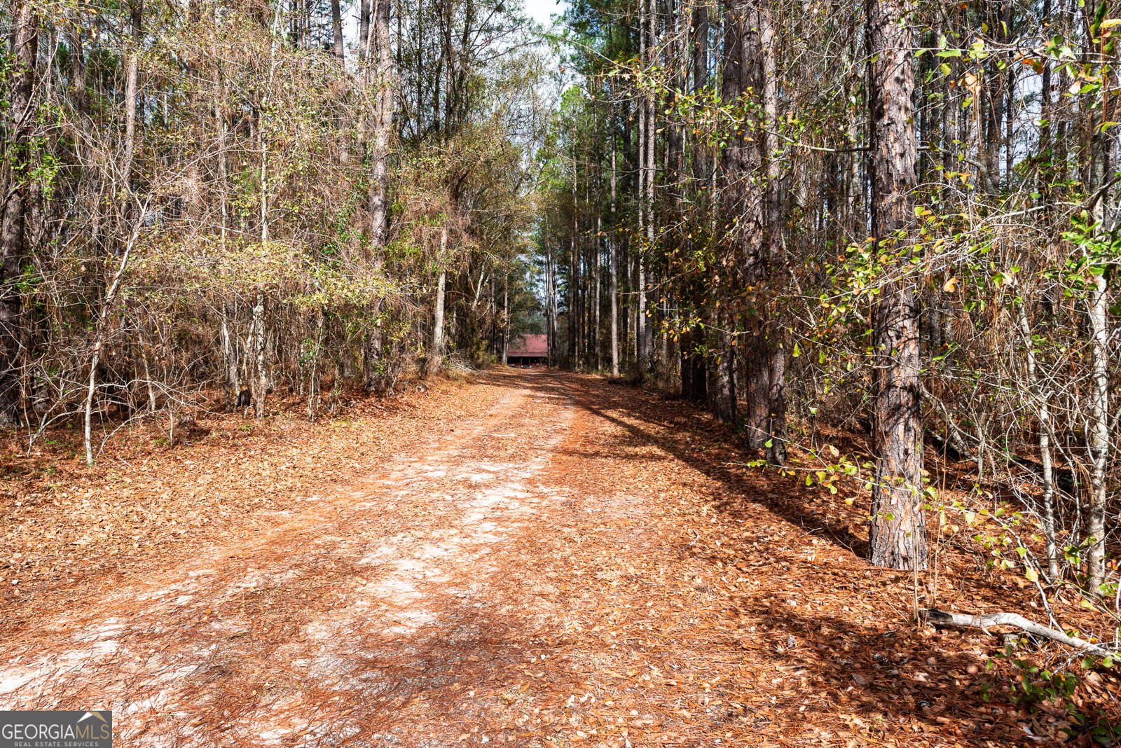 1670 Beaver Dam Road Odum - Photo 22