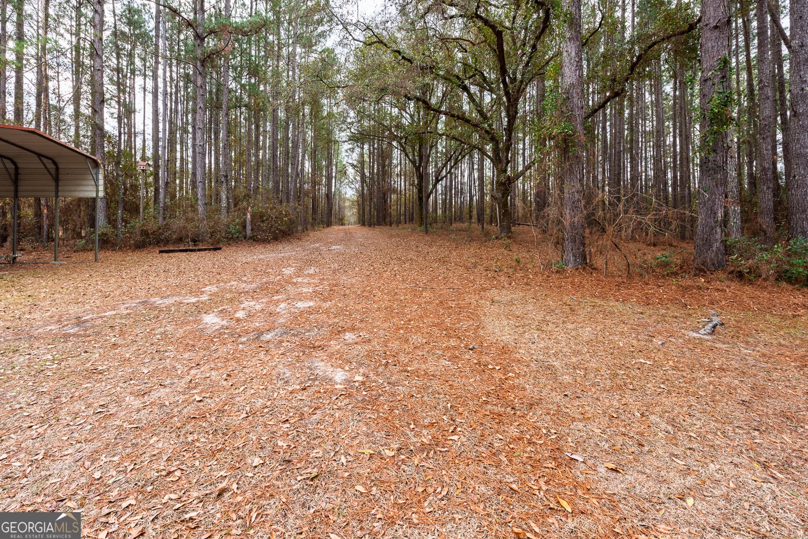 1670 Beaver Dam Road Odum - Photo 23