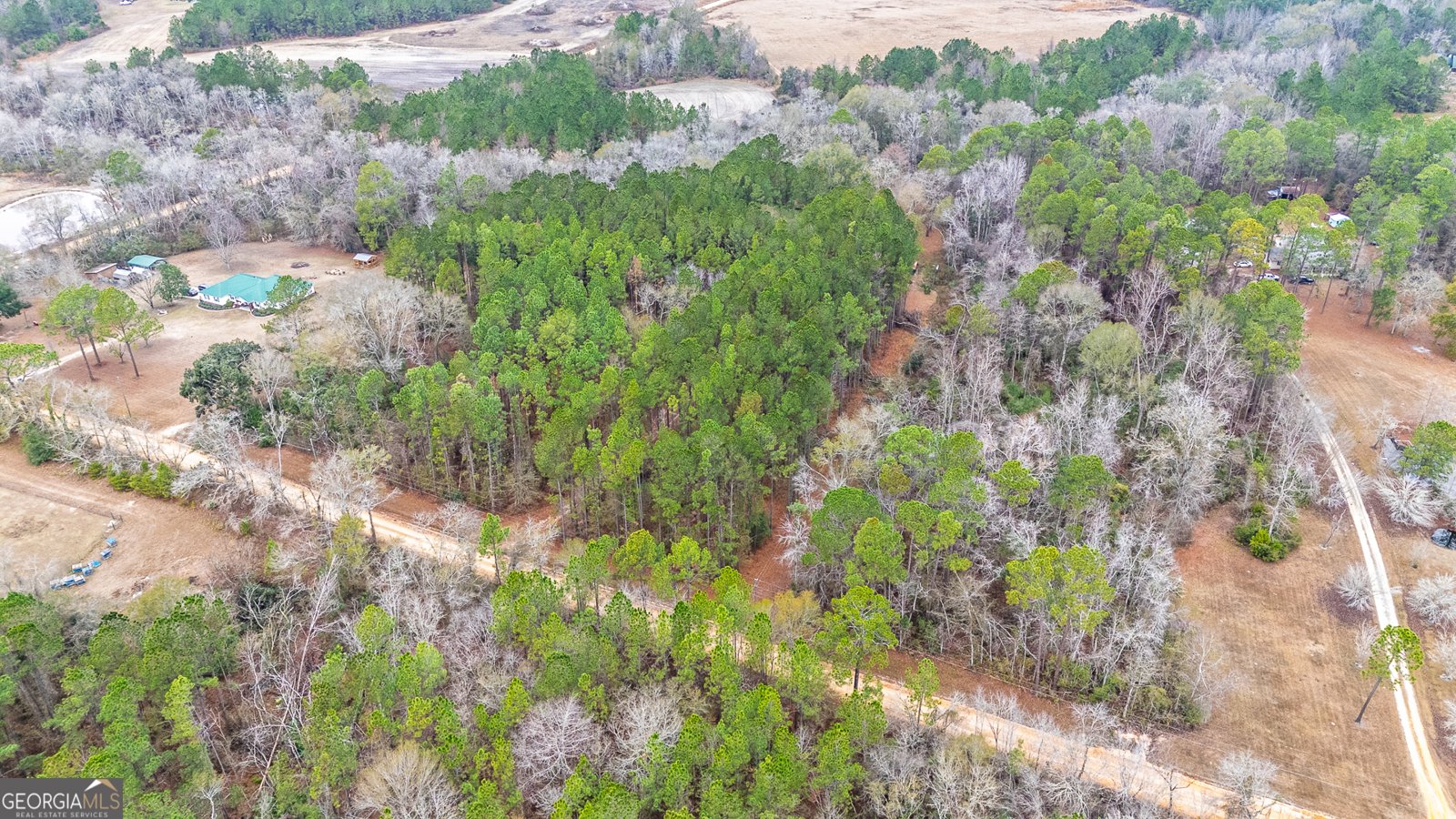 1670 Beaver Dam Road Odum - Photo 36