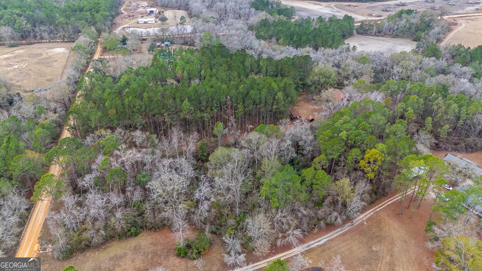 1670 Beaver Dam Road Odum - Photo 40