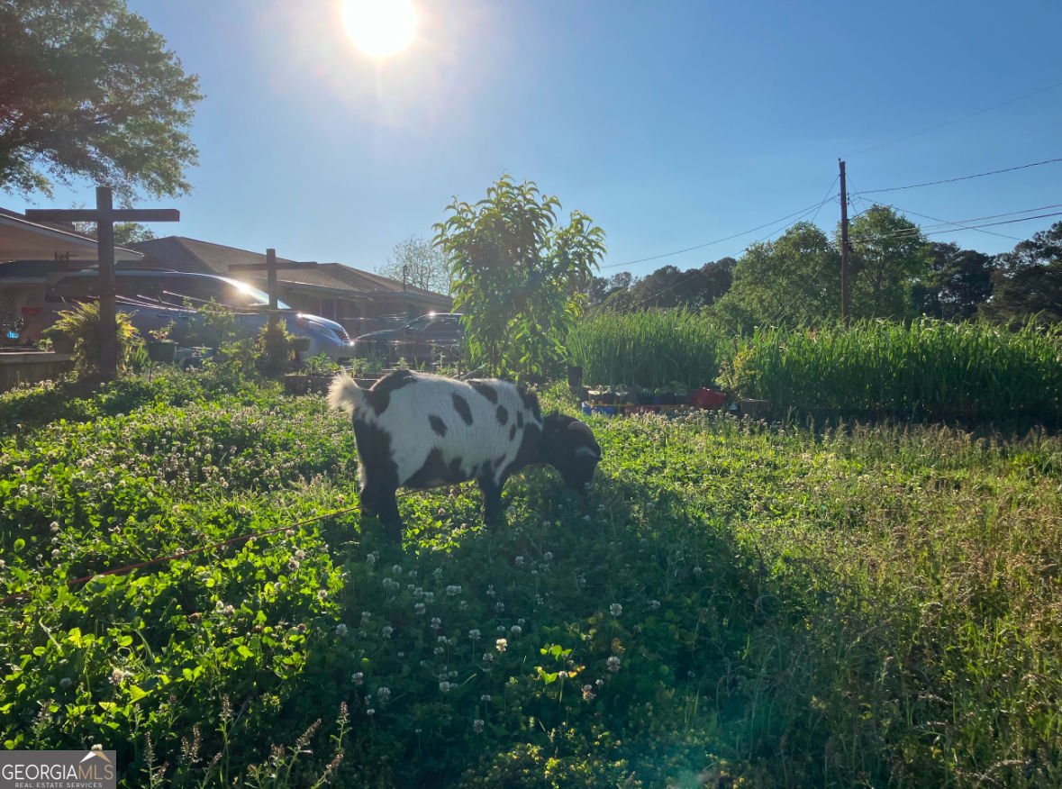 3933 Barr Circle Tucker - Photo 38