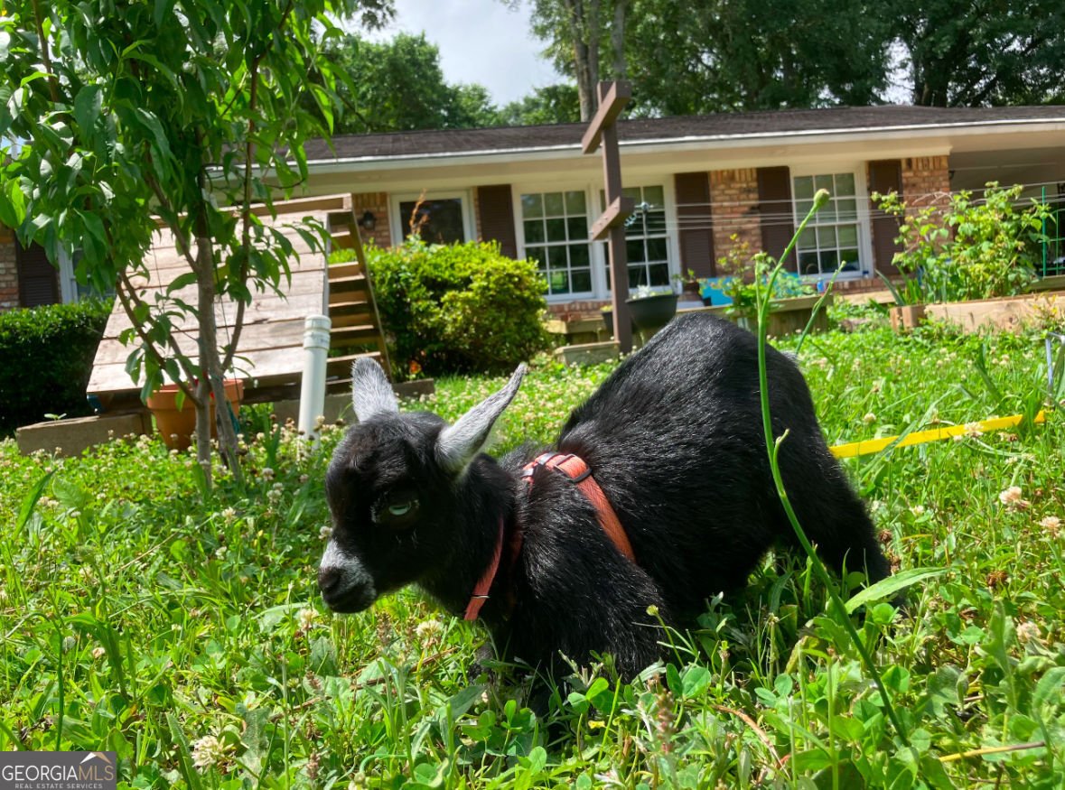 3933 Barr Circle Tucker - Photo 39