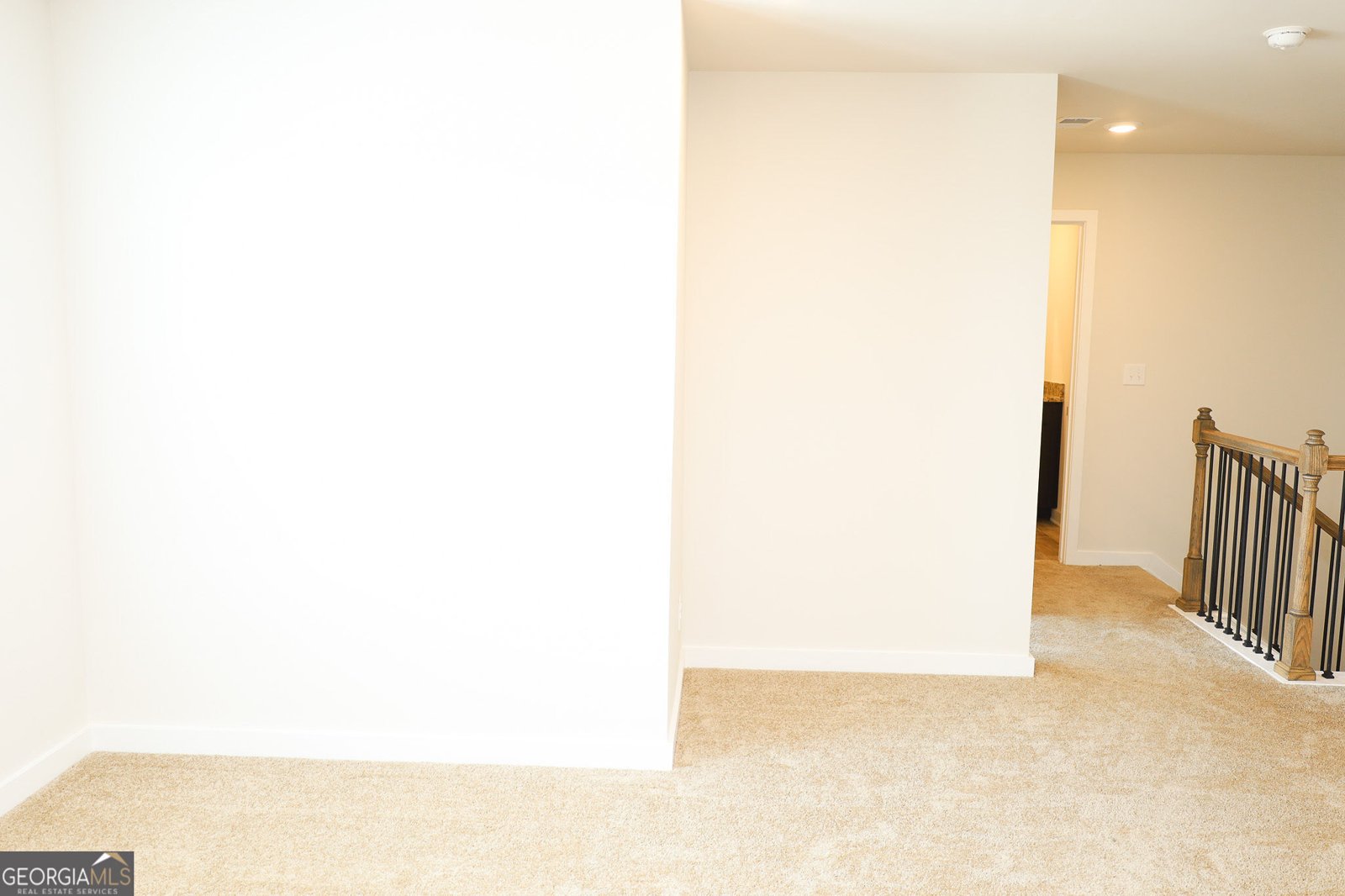 1612 Fuma Leaf Way McDonough - Photo 51